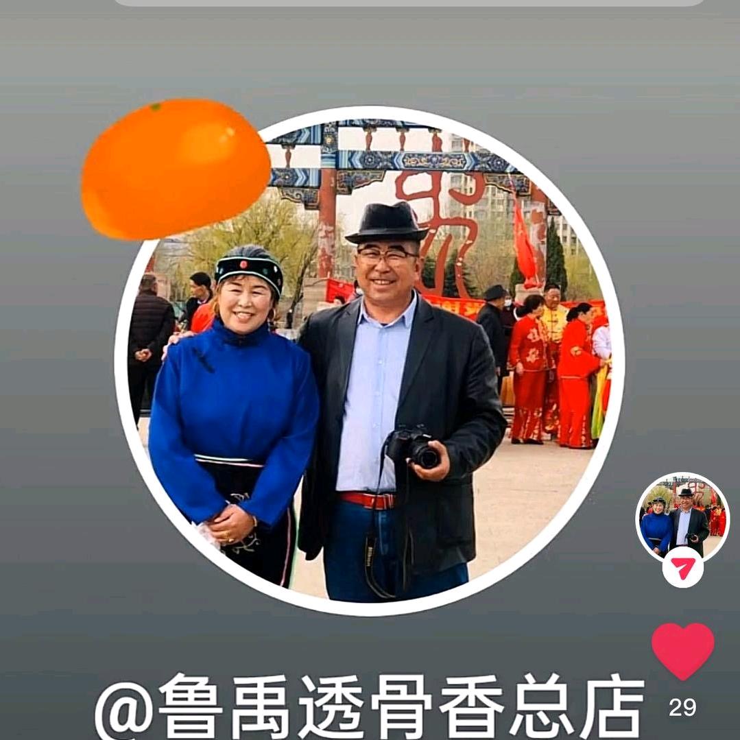 鲁禹