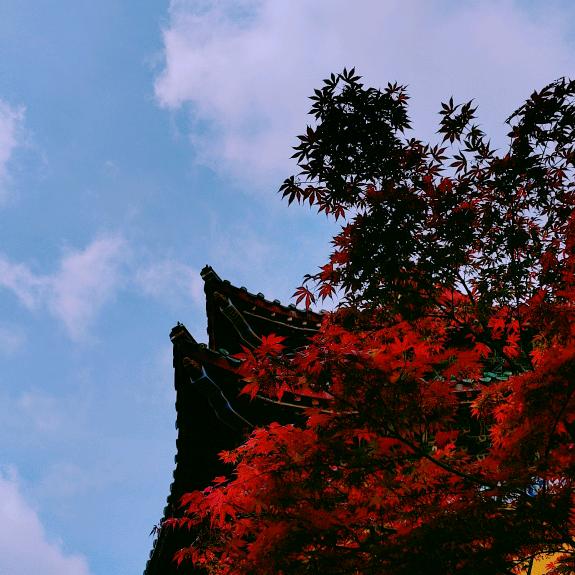 昵称