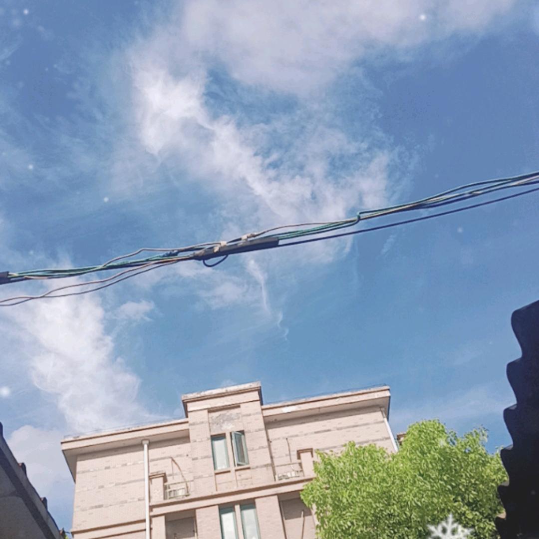 苹果🍎100