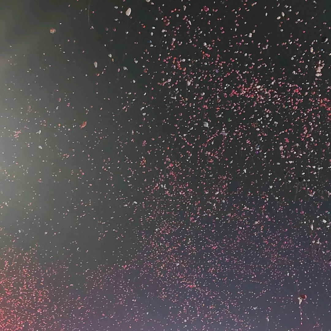 敏儿🌸