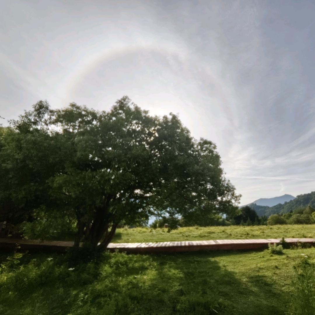 福瑞德酒店（王英）