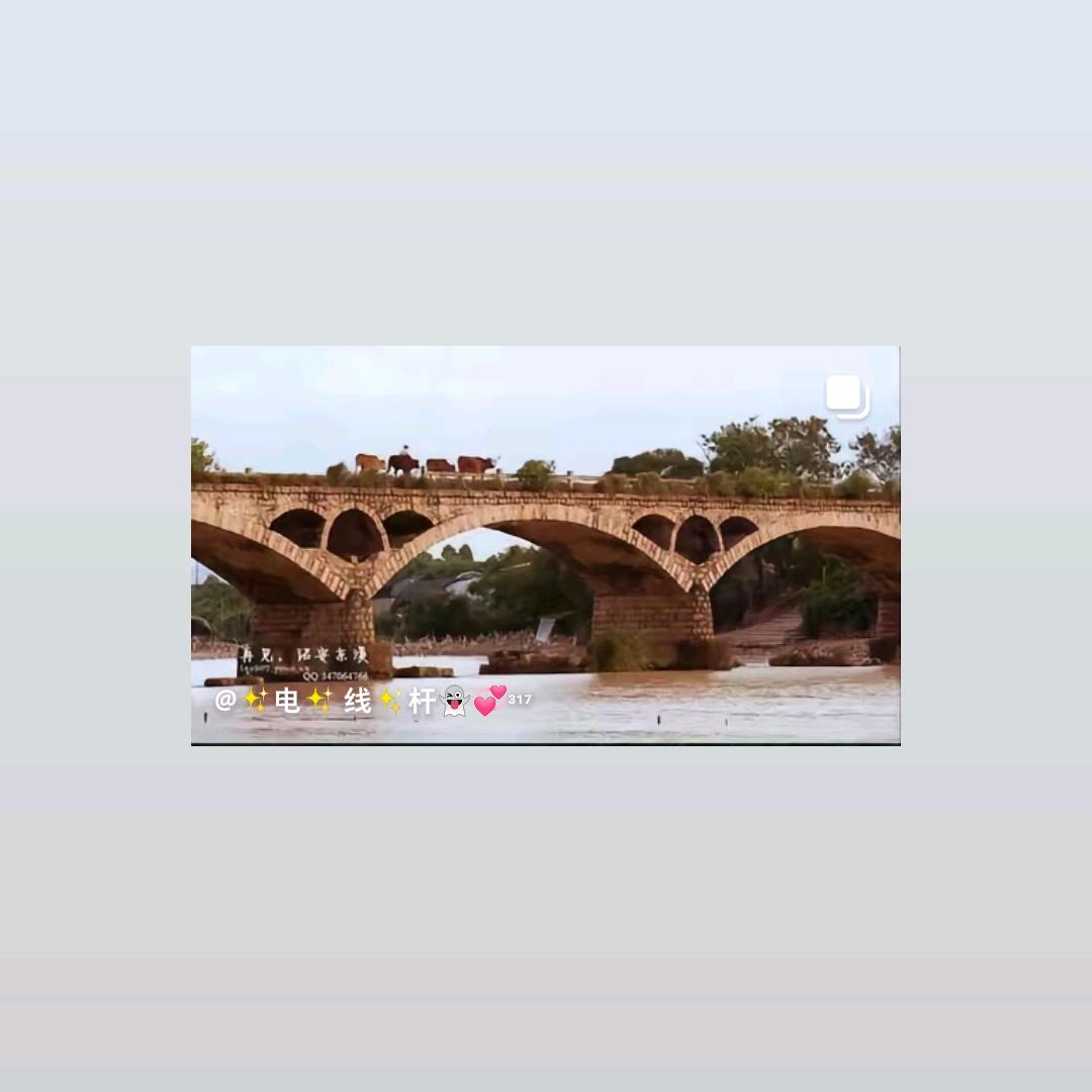 坤5928766559490