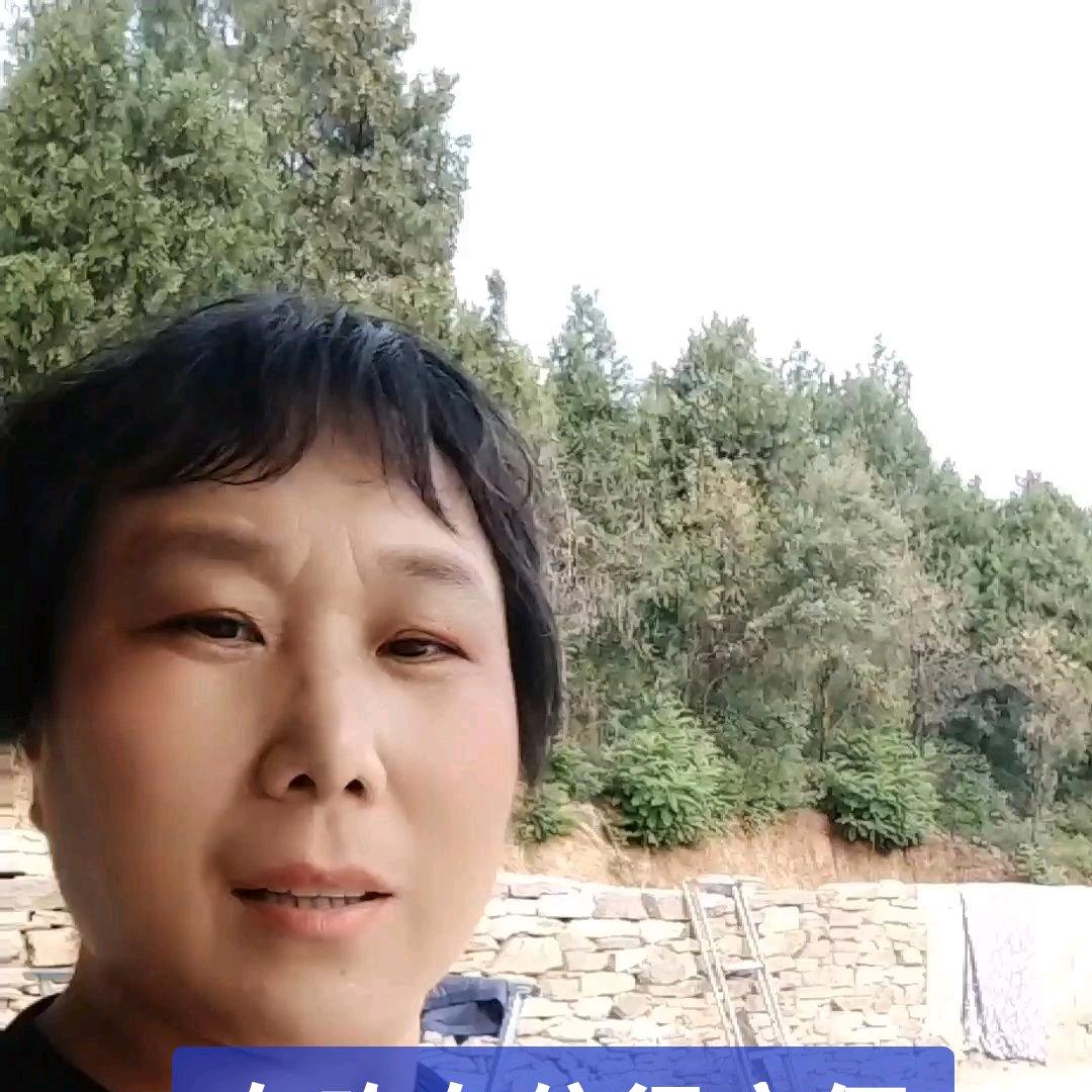 农村倪姐