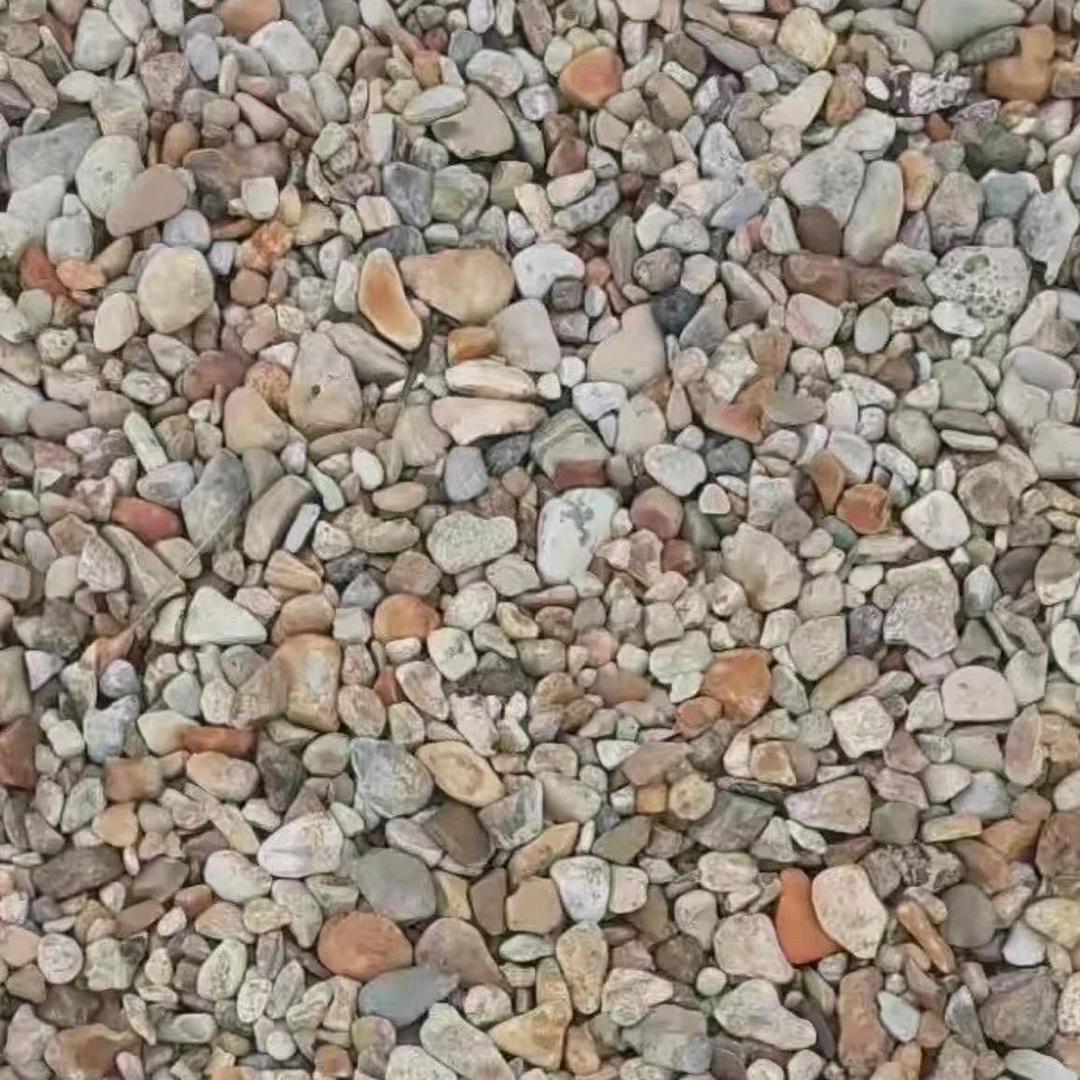 东井文特传媒一