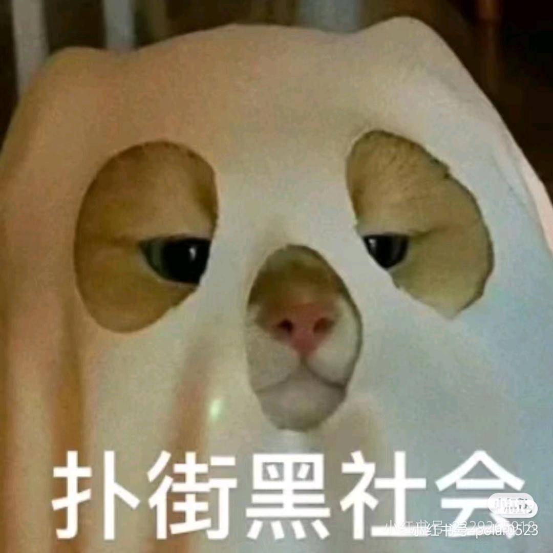 舞泽浩司〈火锅版