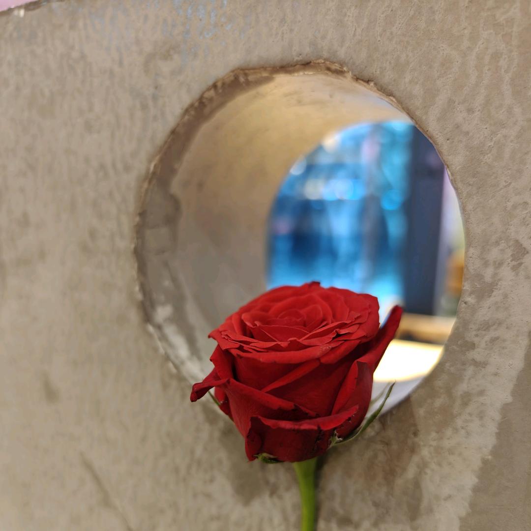婷婷