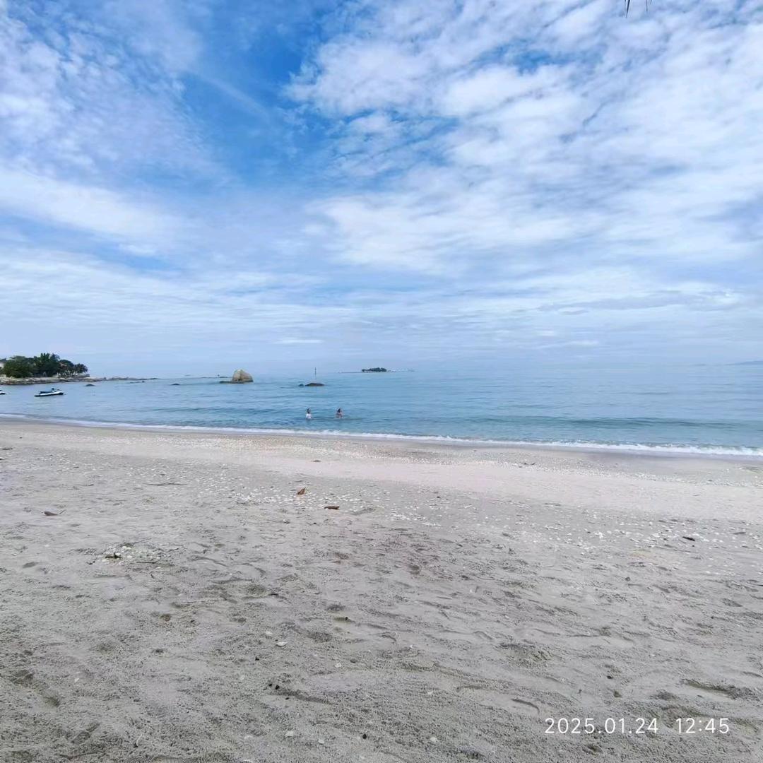 牛马会计的日常