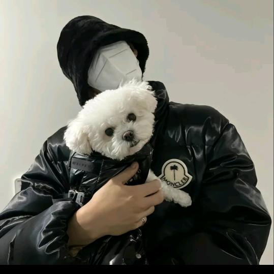 🌈飘逸烤土司最近很忙啊🌈