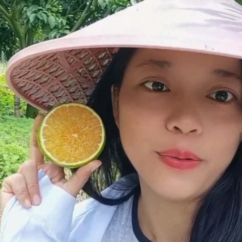 农夫水果～琼中绿橙