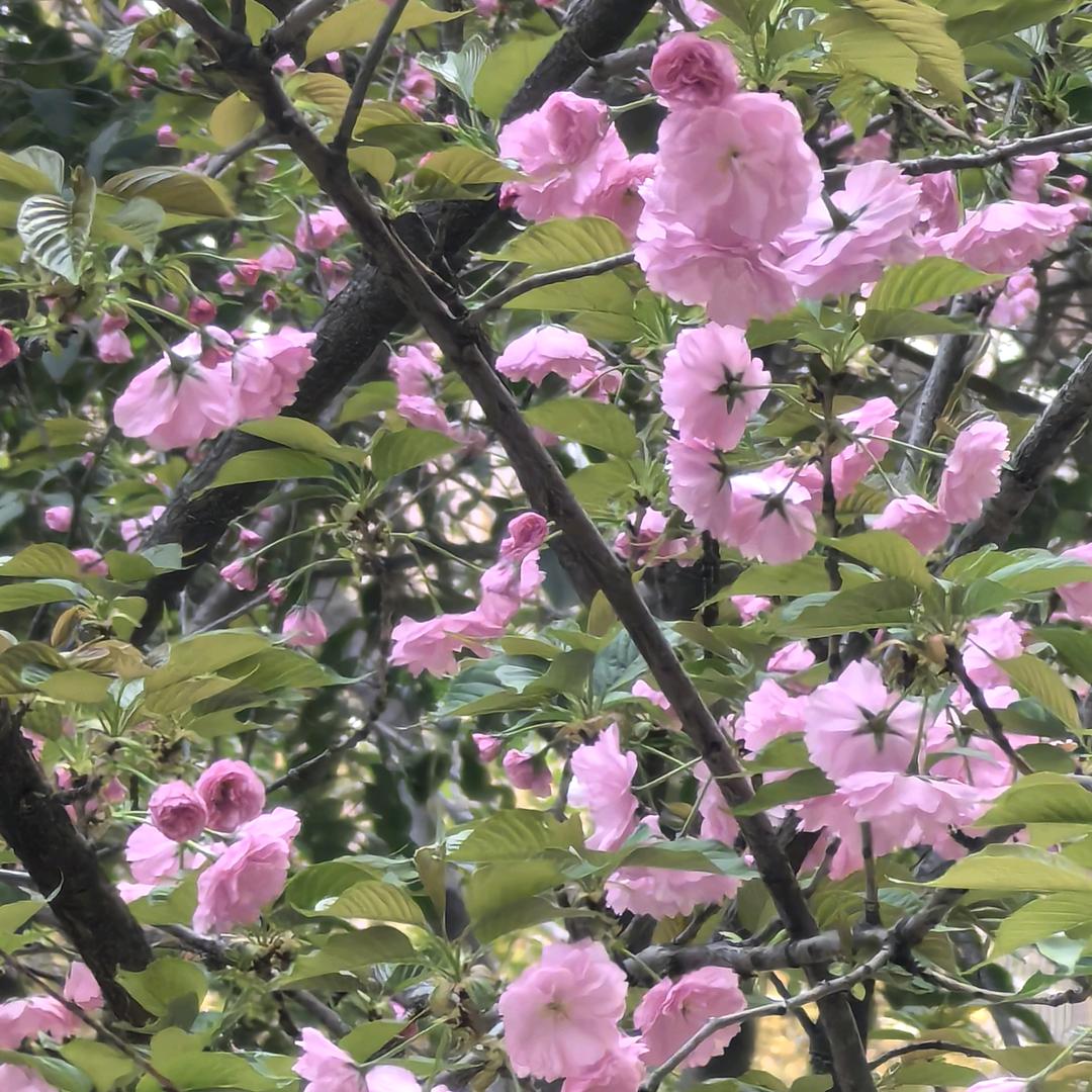 那時°年少