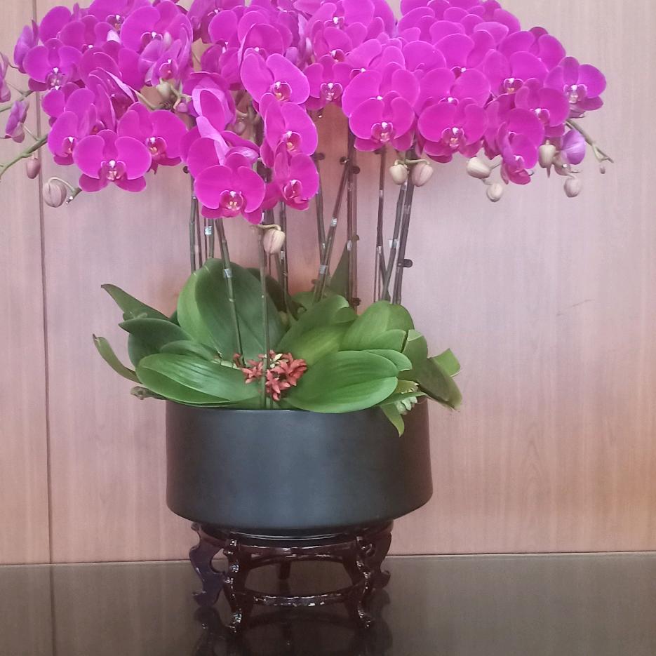 花好月圆婚介联盟十开荒保洁精保洁
