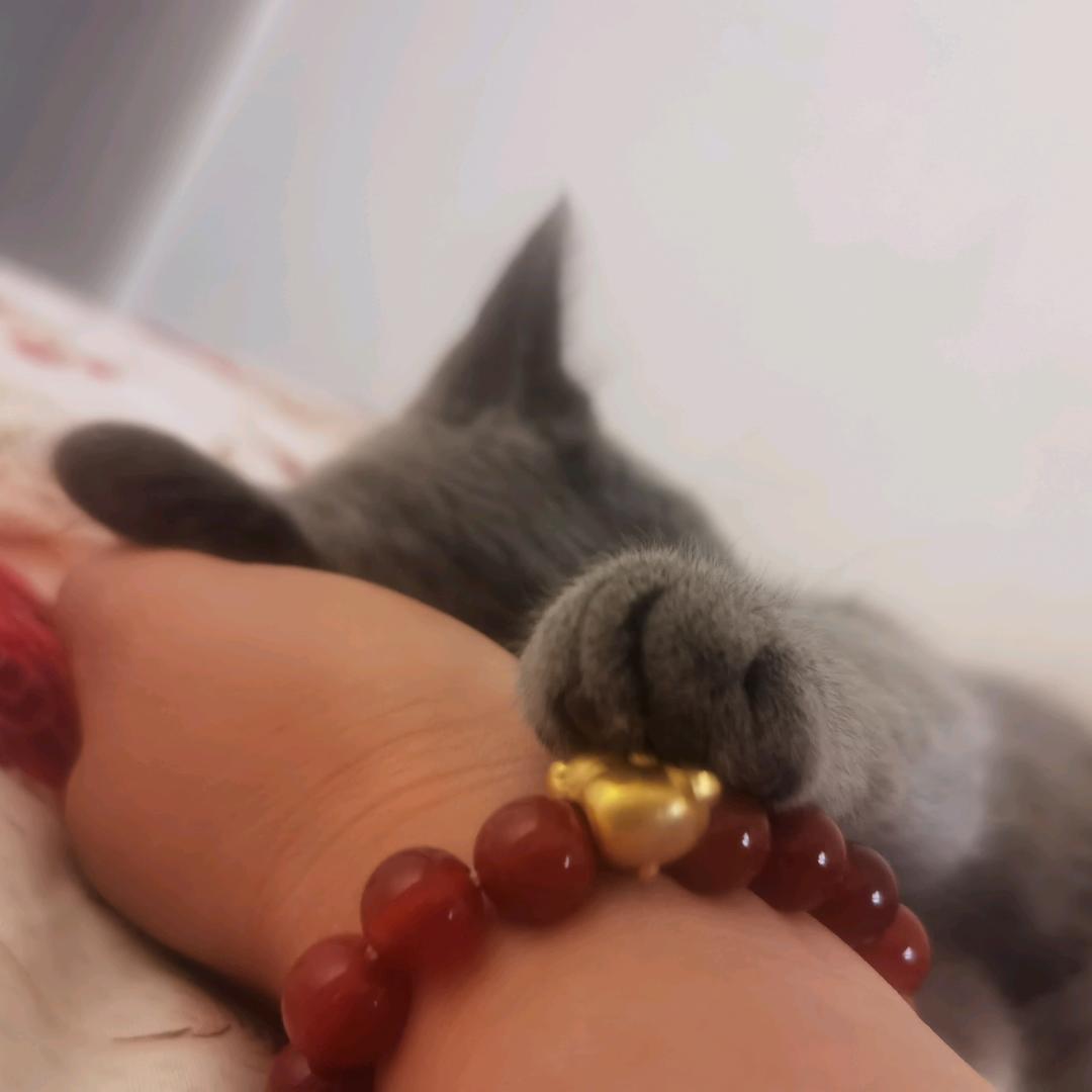 轩儿