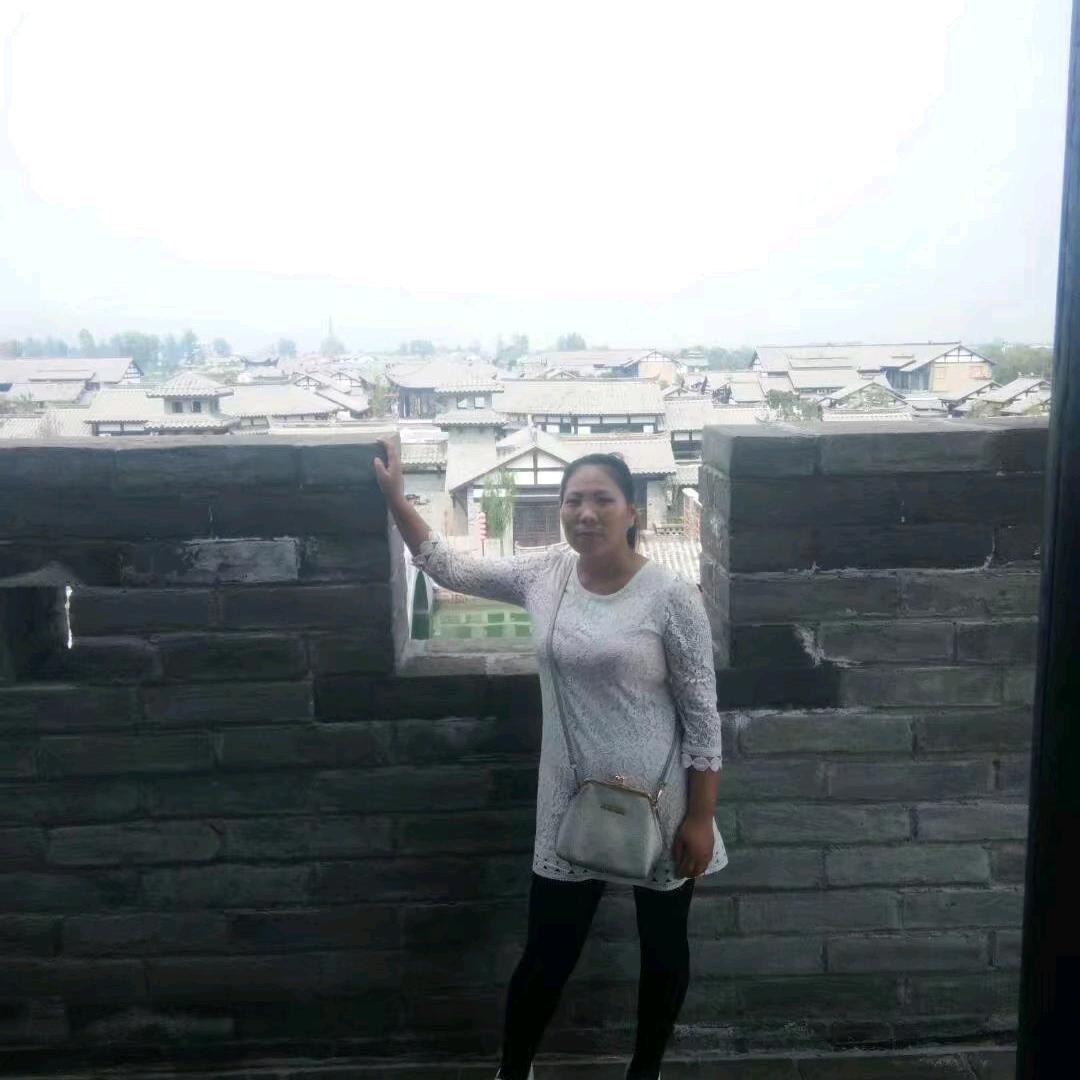 无奈晓飞