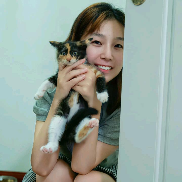 佳佳和流浪猫