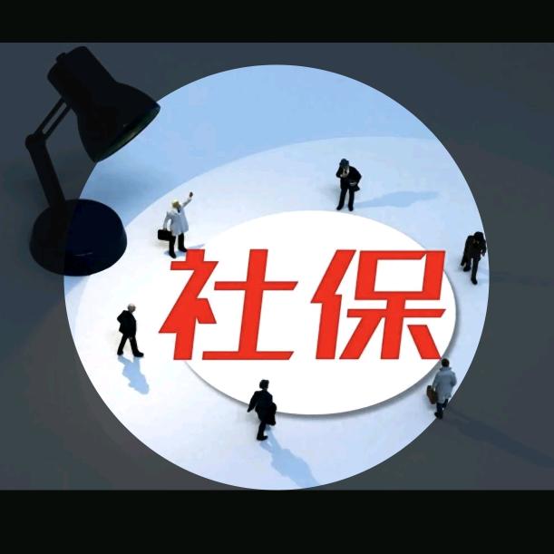 社保规划 程程