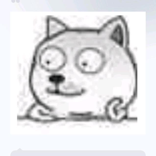 小飞猪🐷