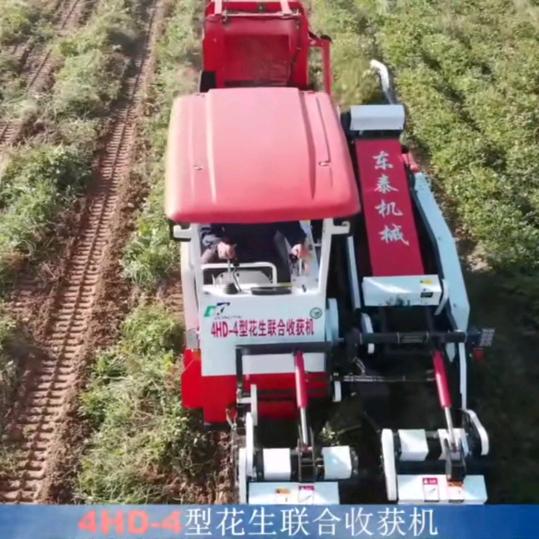 东泰联合收割机生鲜花生收割团队