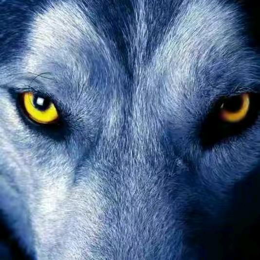 生死看淡，不服就干。