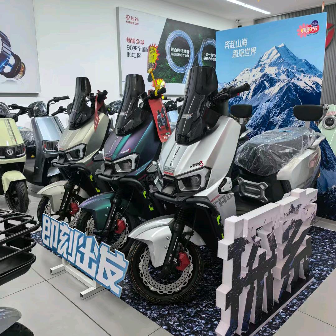 晨铭车业台铃电动车（辛冬店）