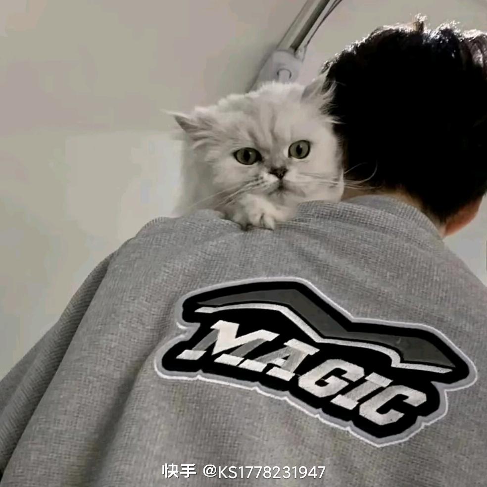 小小八岁