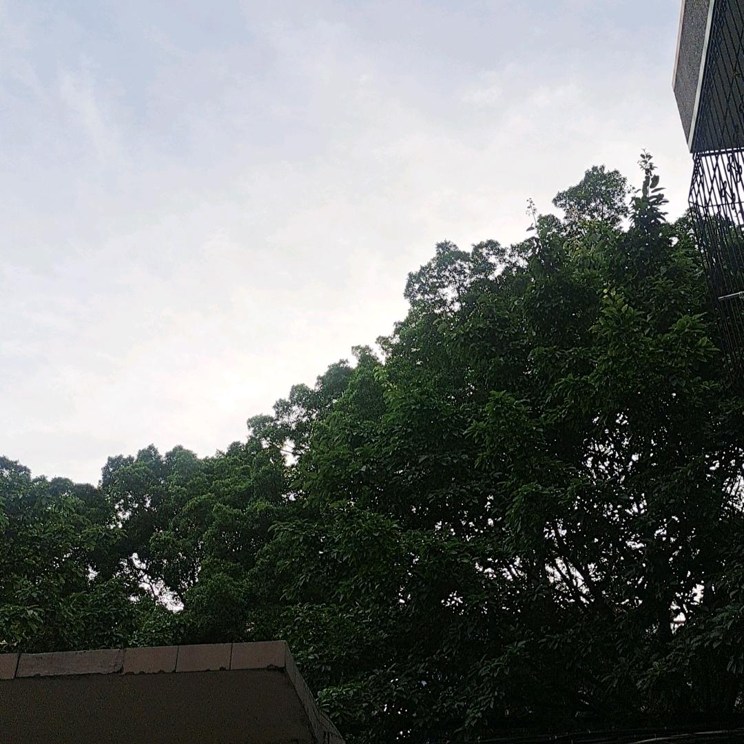 情怀