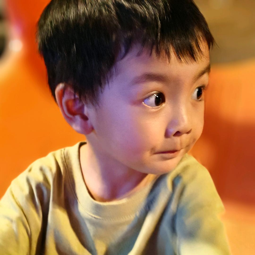 小金鼠旭崽