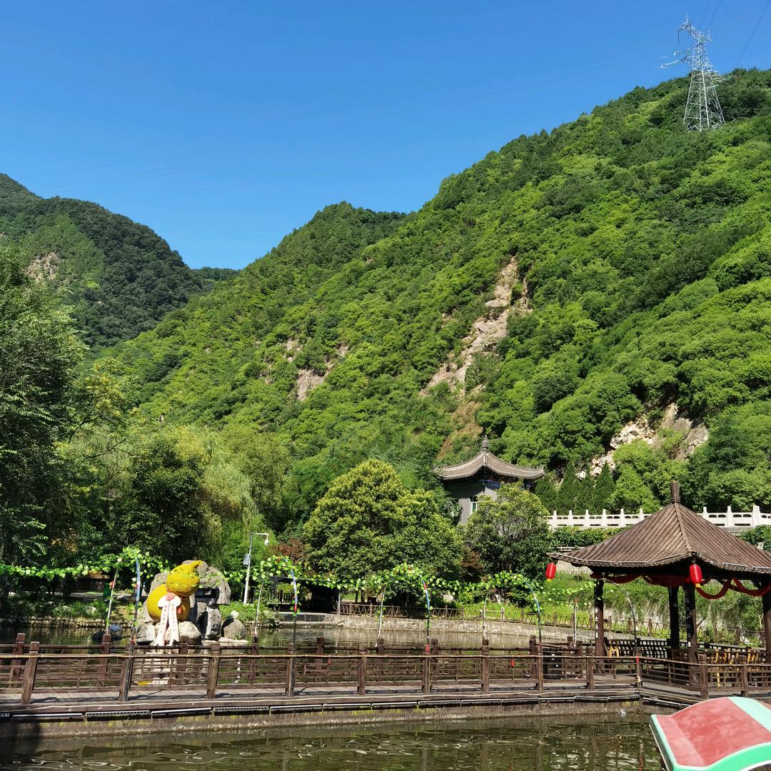 泥胡桃