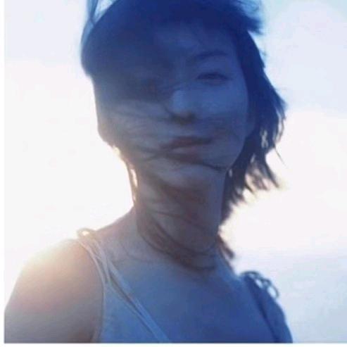小飞鱼✨