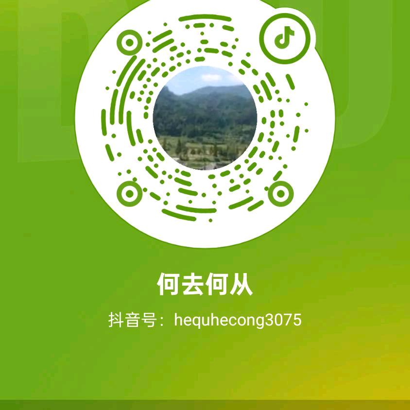 何去何从