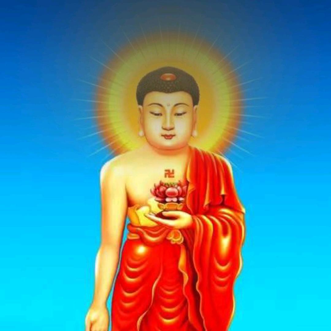 杰哥141319