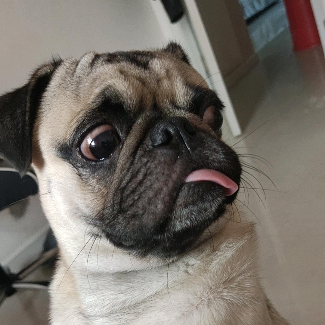 王元宝