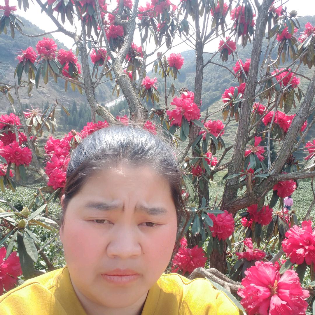 首玉《首播》