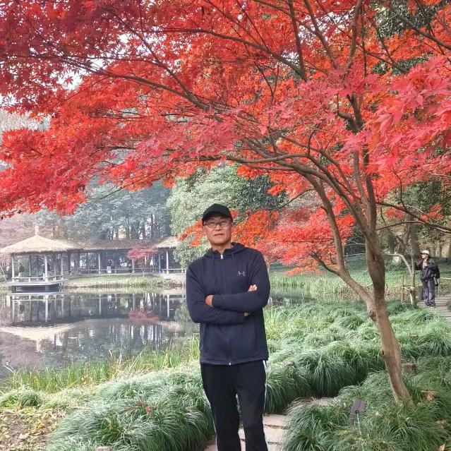 归零悟空