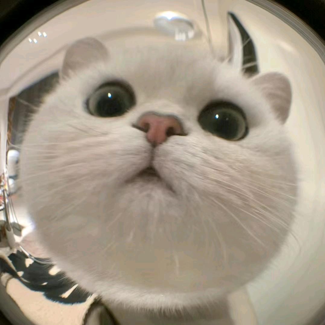 游三传媒  言午