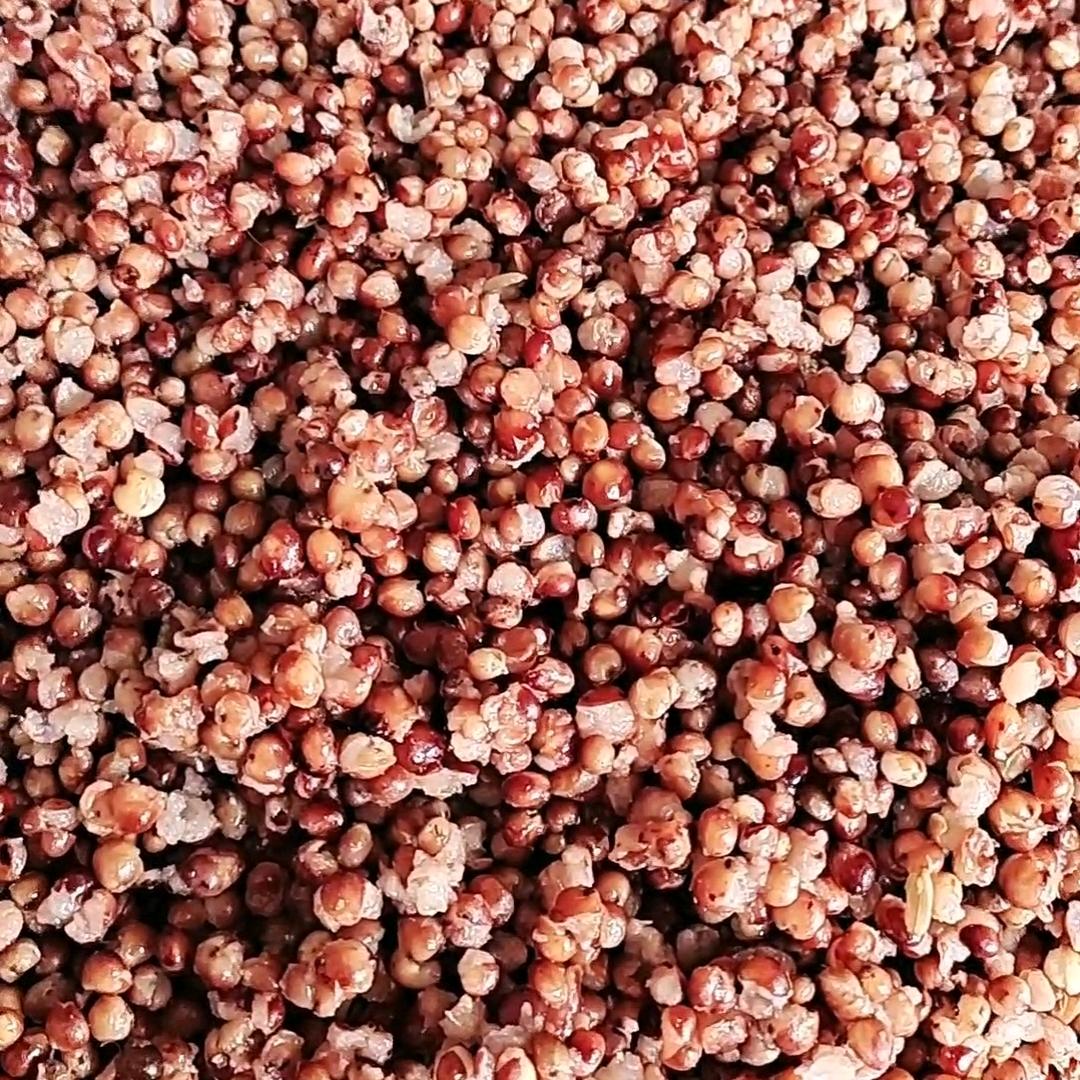 周家传酿固态酒