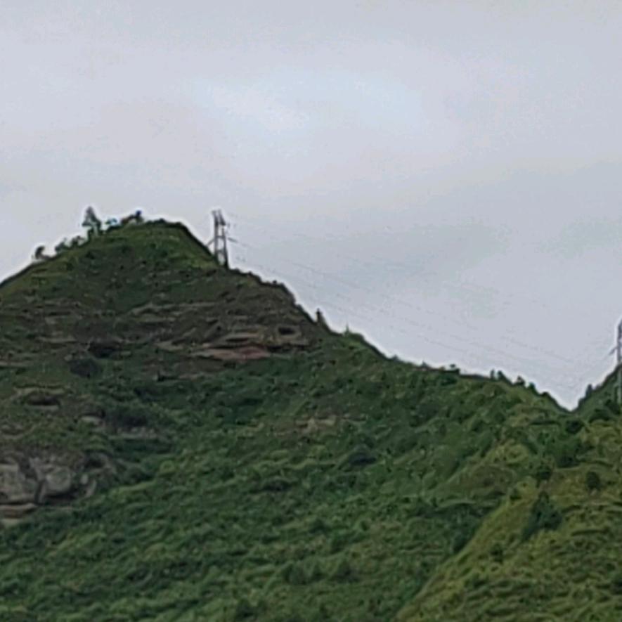 老赵先生
