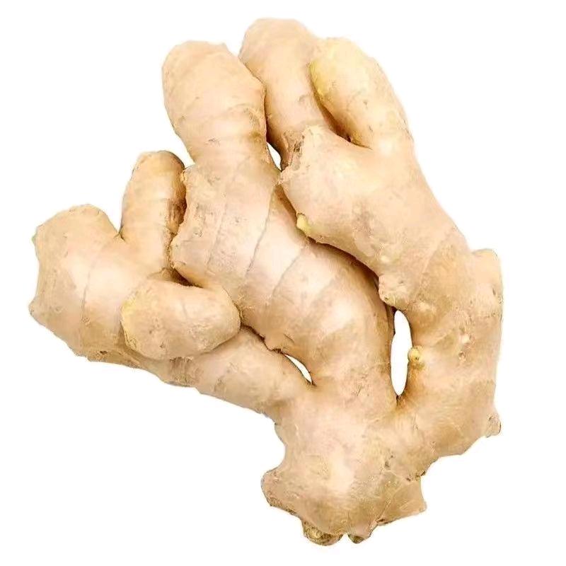 树乐果蔬优选