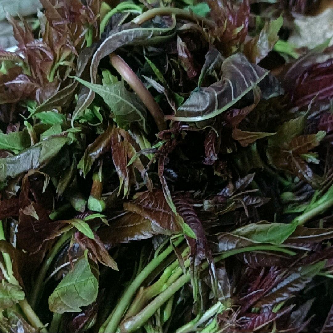 寻找真爱
