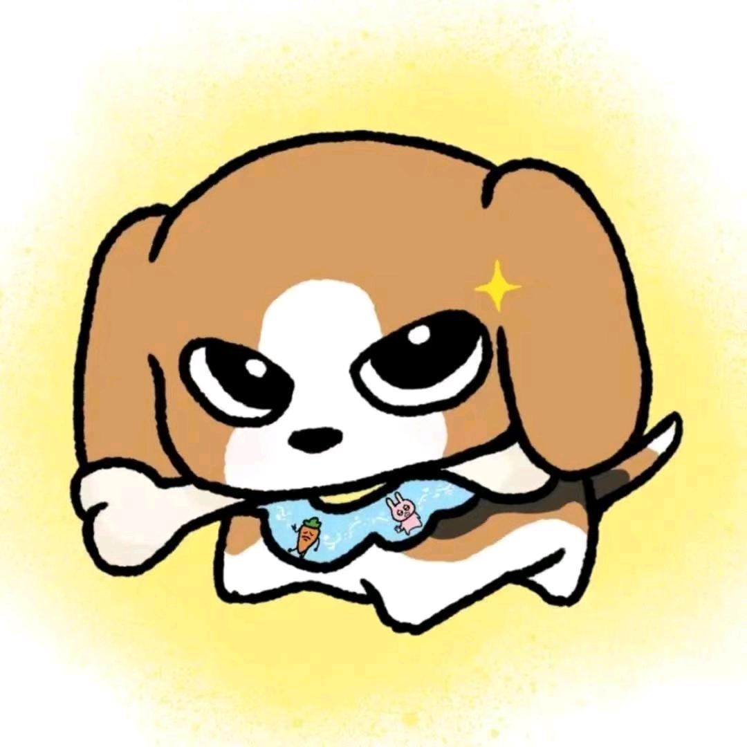 疾风风鸟子