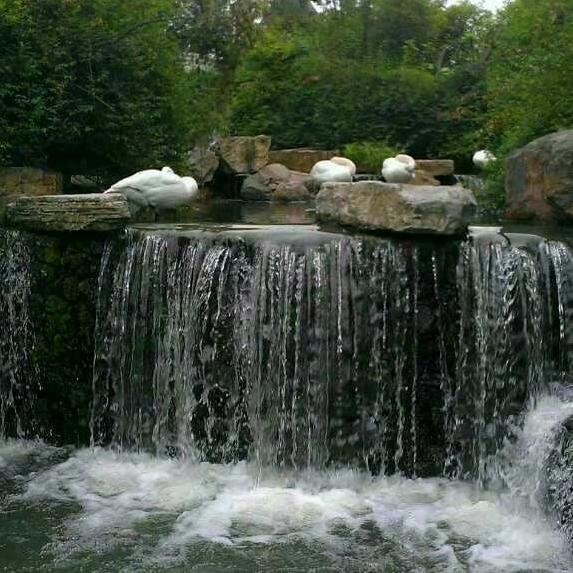 做人真难