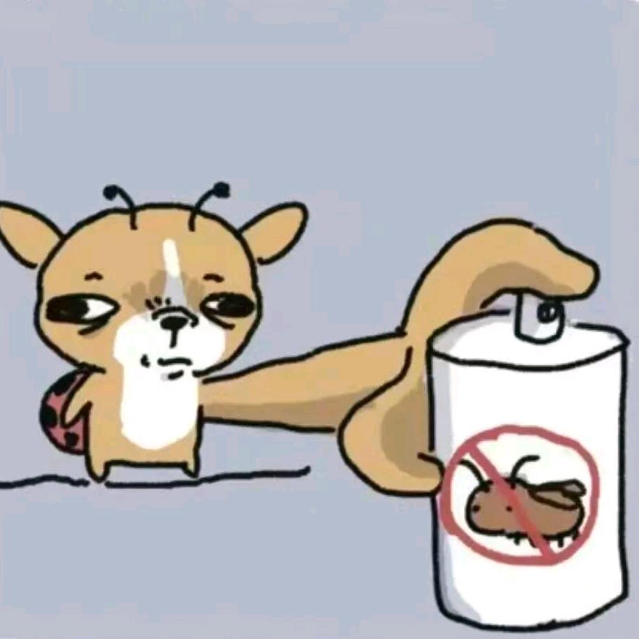 真心話.