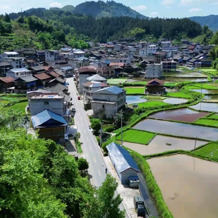 ——小卤蛋——