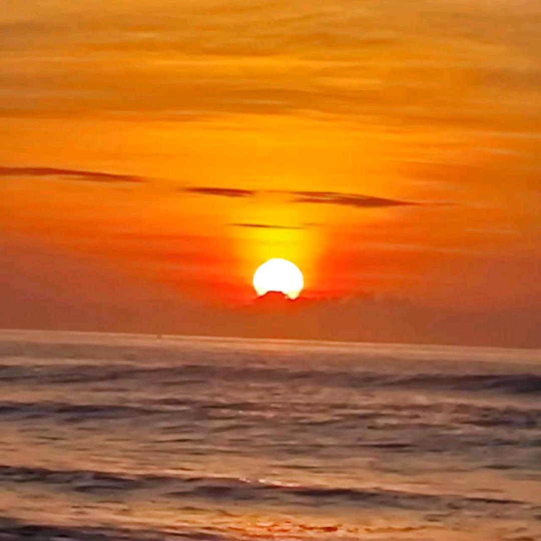 往侯余生♥♥♥♥花好岳圆