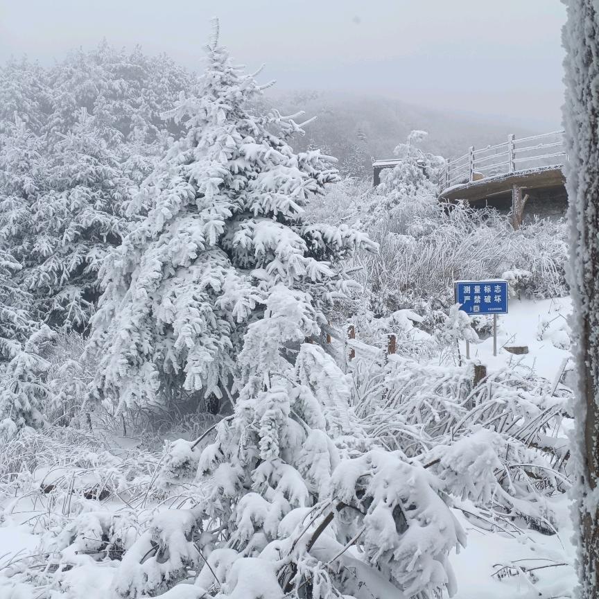 用户，小草