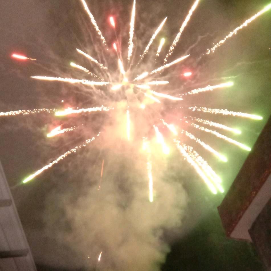 ୧⍤⃝🌻天天向上⋆☽︎︎·̩͙