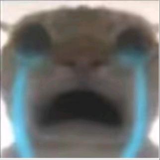 ୧⍤⃝