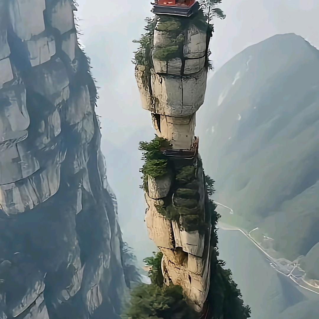 骑着单车迎春天