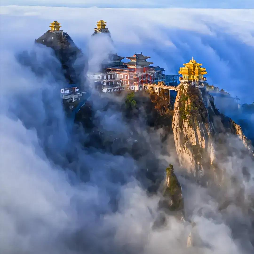 谢姐姐服装五金经营部