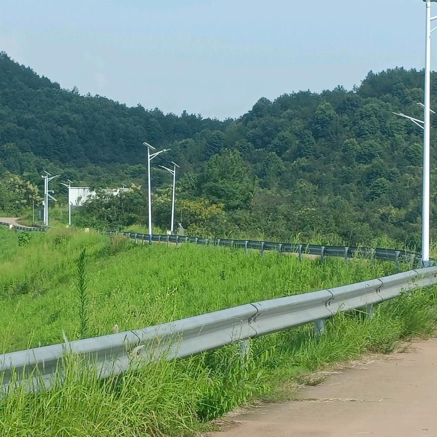 金色阳光