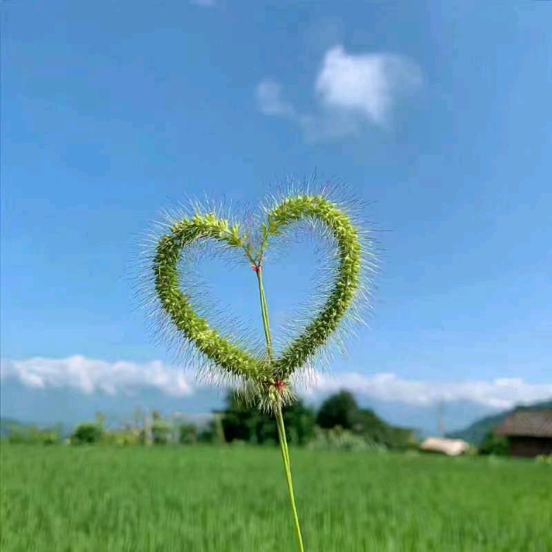 崶芯锁嗳🐍《互》拒绝私聊